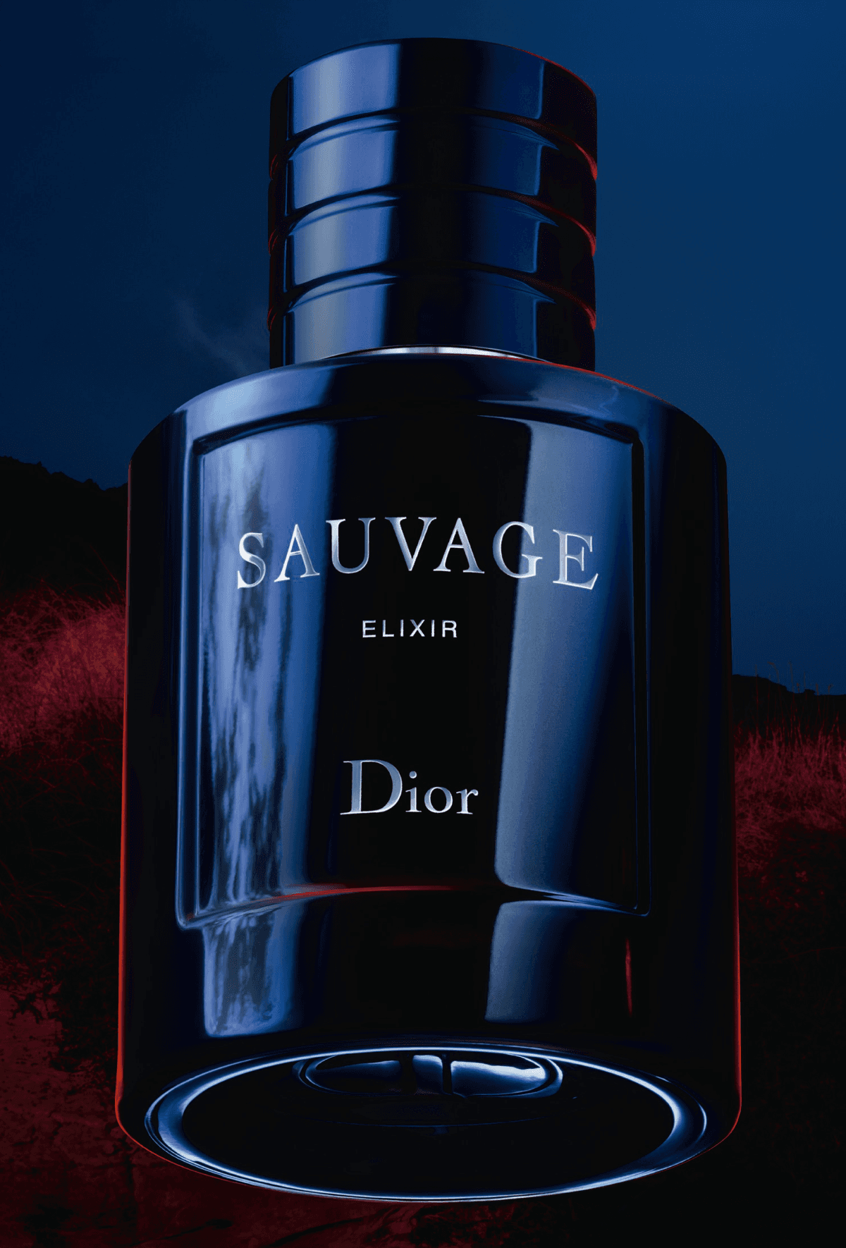 Imagen 1 de DIOR SAUVAGE EDT 100ML